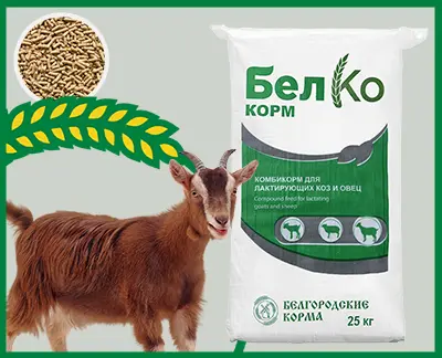 Compound feed for goats and sheep