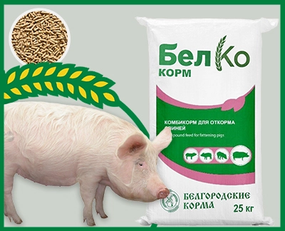 Compound feed for pigs