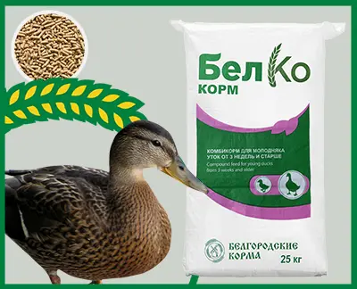 Compound feed for waterfowl