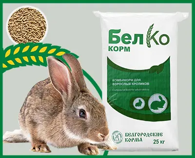 Compound feed for rabbits